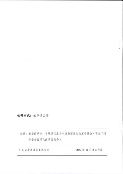 关于印发《广州南沙新区（自贸片区）开展91色情信用建设服务实体经济发展试点方案》的通知_页面_10.jpg